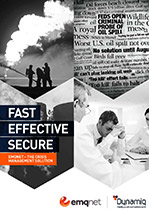 Risk & Issues Management  brochure